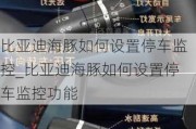 比亚迪海豚如何设置停车监控_比亚迪海豚如何设置停车监控功能