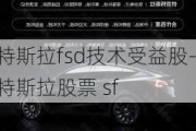 特斯拉fsd技术受益股-特斯拉股票 sf