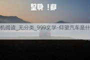 仰望手机阅读_无分类_999文学-仰望汽车是什么品牌的车