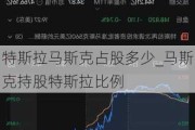 特斯拉马斯克占股多少_马斯克持股特斯拉比例