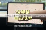 特斯拉车机什么配置-特斯拉是什么车机系统