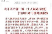 汽车下乡政策是哪一年提出的-汽车下乡新政何时出台