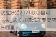 欧拉好猫2021款哪里可以买_欧拉好猫汽车专卖店在哪里