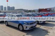 双燃料私家车_买双燃料汽车用于家用的多不多?