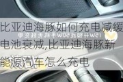 比亚迪海豚如何充电减缓电池衰减,比亚迪海豚新能源汽车怎么充电