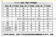 哪吒v轮胎的参数_哪吒upro轮胎尺寸