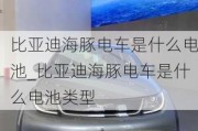 比亚迪海豚电车是什么电池_比亚迪海豚电车是什么电池类型