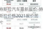 特斯拉汽车最新报价-特斯拉价格2021报价图片