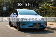 特斯拉fsd是什么缩写的车-特斯拉fsd是什么级别