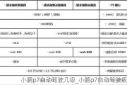 小鹏p7自动驾驶几级_小鹏p7自动驾驶级别