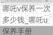 哪吒v保养一次多少钱_哪吒u保养手册