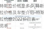 特斯拉价格是多少,特斯拉价格及车型介绍-特斯拉价格2022价目表一览表