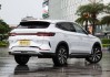 比亚迪油电两用suv-比亚迪油电两用suv2023新款