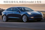 特斯拉做专车,特斯拉model 3 专车