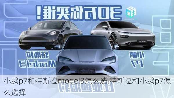 小鹏p7和特斯拉model3怎么选,特斯拉和小鹏p7怎么选择