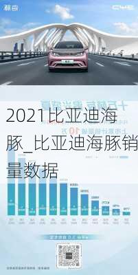 2021比亚迪海豚_比亚迪海豚销量数据