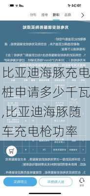 比亚迪海豚充电桩申请多少千瓦,比亚迪海豚随车充电枪功率