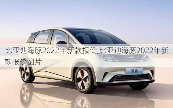 比亚迪海豚2022年新款报价,比亚迪海豚2022年新款报价图片