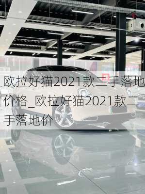 欧拉好猫2021款二手落地价格_欧拉好猫2021款二手落地价