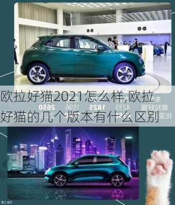 欧拉好猫2021怎么样,欧拉好猫的几个版本有什么区别