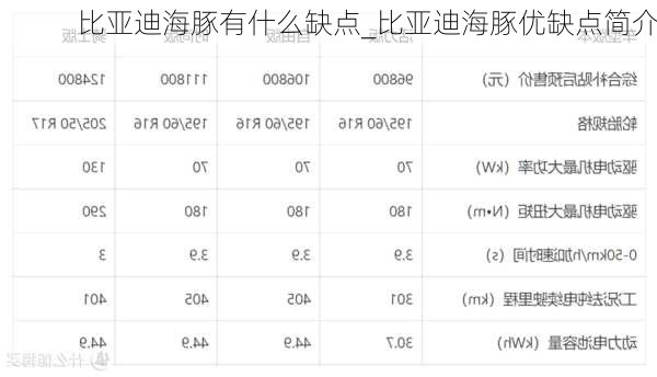 比亚迪海豚有什么缺点_比亚迪海豚优缺点简介