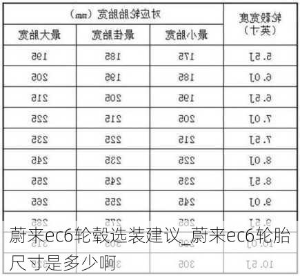 蔚来ec6轮毂选装建议_蔚来ec6轮胎尺寸是多少啊