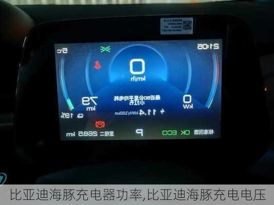 比亚迪海豚充电器功率,比亚迪海豚充电电压