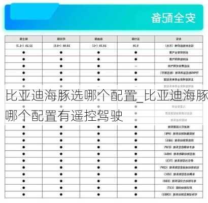 比亚迪海豚选哪个配置_比亚迪海豚哪个配置有遥控驾驶