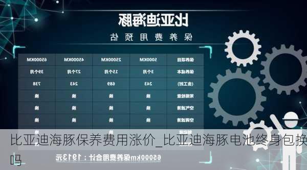 比亚迪海豚保养费用涨价_比亚迪海豚电池终身包换吗