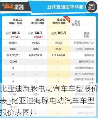 比亚迪海豚电动汽车车型报价表_比亚迪海豚电动汽车车型报价表图片