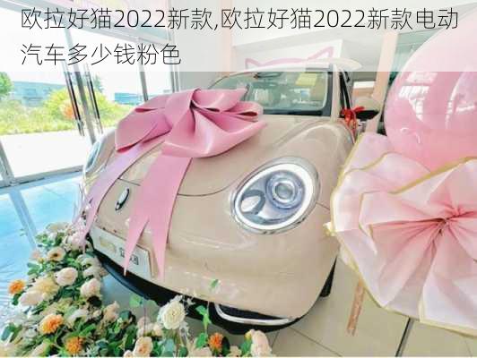 欧拉好猫2022新款,欧拉好猫2022新款电动汽车多少钱粉色