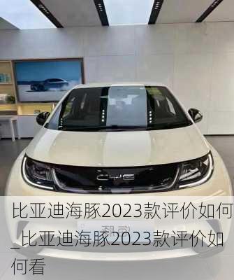 比亚迪海豚2023款评价如何_比亚迪海豚2023款评价如何看