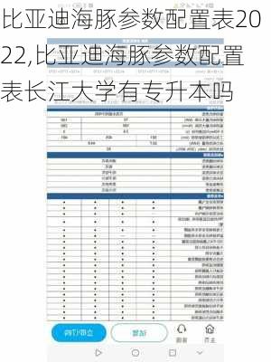 比亚迪海豚参数配置表2022,比亚迪海豚参数配置表长江大学有专升本吗