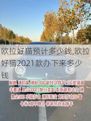 欧拉好猫预计多少钱,欧拉好猫2021款办下来多少钱