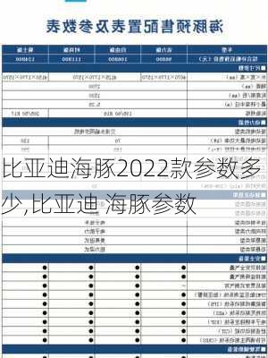 比亚迪海豚2022款参数多少,比亚迪 海豚参数