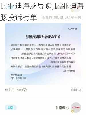 比亚迪海豚导购,比亚迪海豚投诉榜单