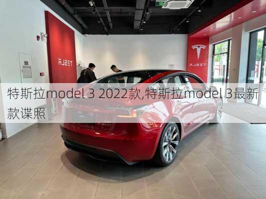 特斯拉model 3 2022款,特斯拉model 3最新款谍照