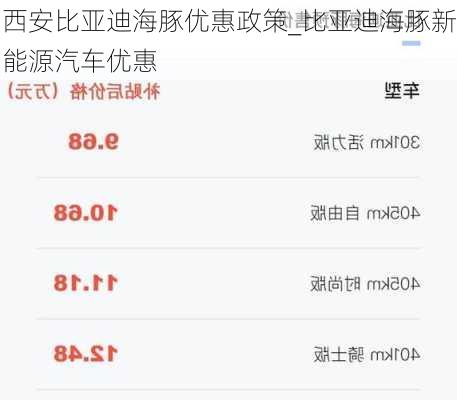 西安比亚迪海豚优惠政策_比亚迪海豚新能源汽车优惠