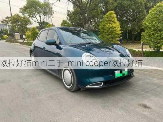 欧拉好猫mini二手_mini cooper欧拉好猫