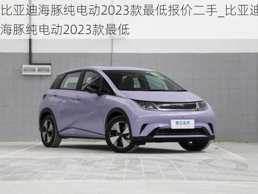 比亚迪海豚纯电动2023款最低报价二手_比亚迪海豚纯电动2023款最低