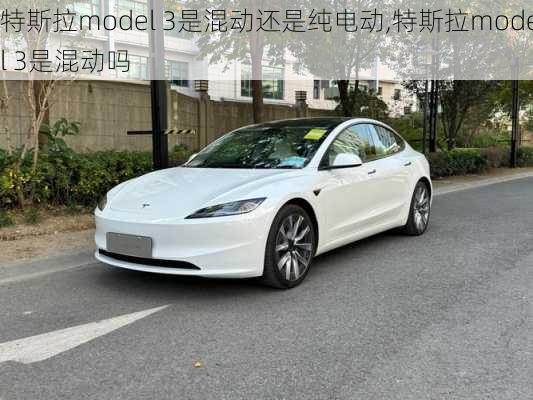 特斯拉model 3是混动还是纯电动,特斯拉model 3是混动吗