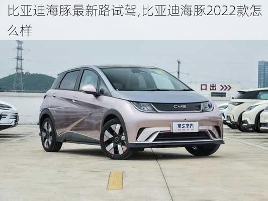 比亚迪海豚最新路试驾,比亚迪海豚2022款怎么样