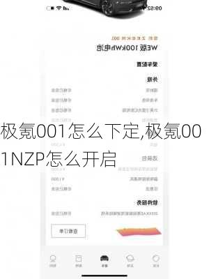 极氪001怎么下定,极氪001NZP怎么开启