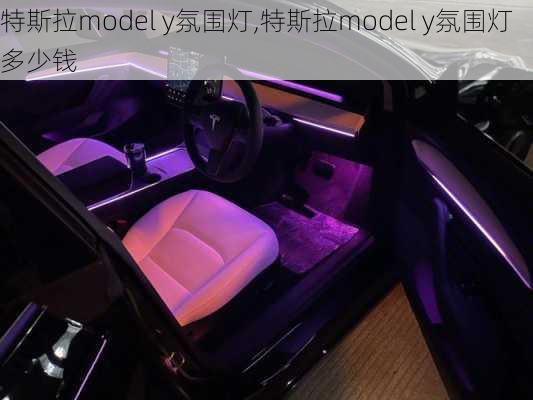 特斯拉model y氛围灯,特斯拉model y氛围灯多少钱