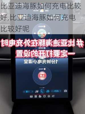 比亚迪海豚如何充电比较好,比亚迪海豚如何充电比较好呢