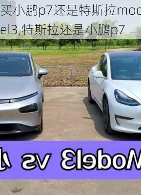 买小鹏p7还是特斯拉model3,特斯拉还是小鹏p7