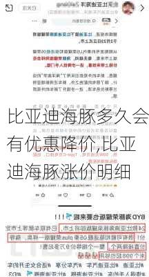 比亚迪海豚多久会有优惠降价,比亚迪海豚涨价明细