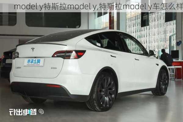 model y特斯拉model y,特斯拉model y车怎么样