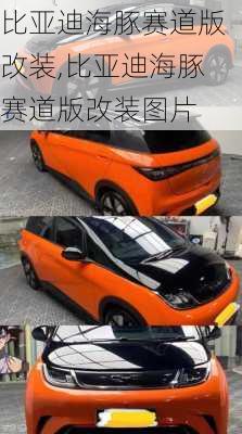 比亚迪海豚赛道版改装,比亚迪海豚赛道版改装图片