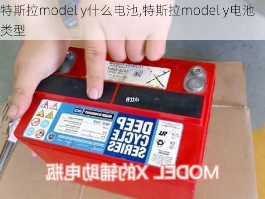 特斯拉model y什么电池,特斯拉model y电池类型